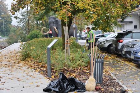 Sodelavci iz naslova javnih del skrbijo za čisto mesto (1)